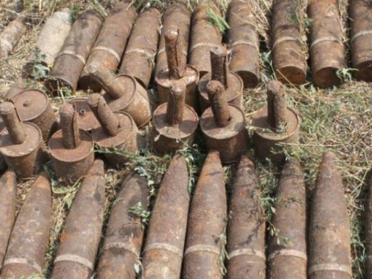 Пиротехники ГСЧС с начала года изъяли более 24 тысячи боеприпасов