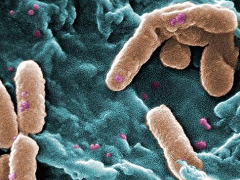 Ученые обнаружили свойство пористого графена уничтожать бактерии (ФОТО)