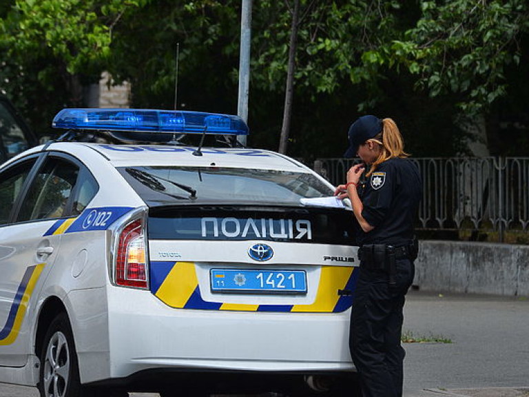 Под Киевом произошло ДТП из-за дикого кабана: погибли три человека и животное (ФОТО)