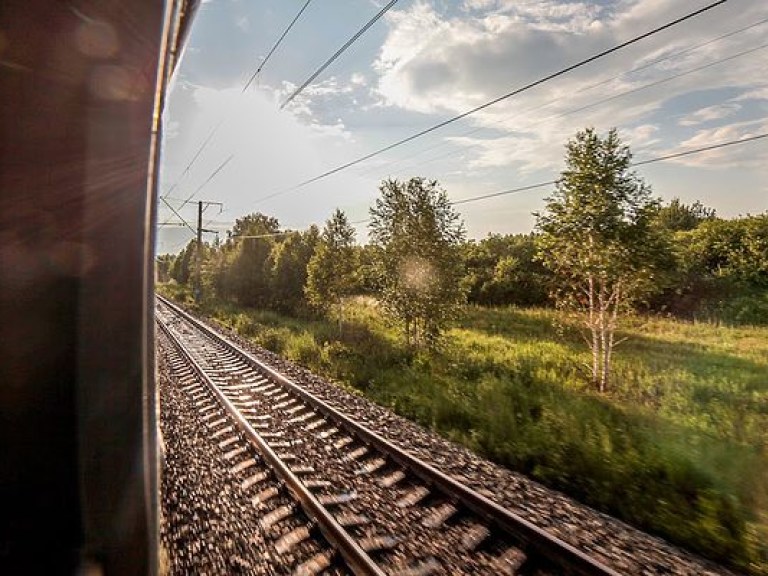 В Луцке поезд сбил 48-летнюю женщину