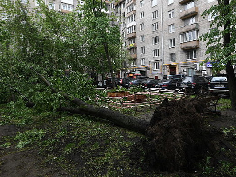 СМИ про ураган в Москве: погибли девять человек (ФОТО, ВИДЕО)