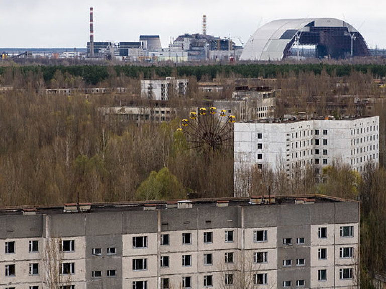 Украинские и японские ученые проведут совместные исследования в зоне ЧАЭС