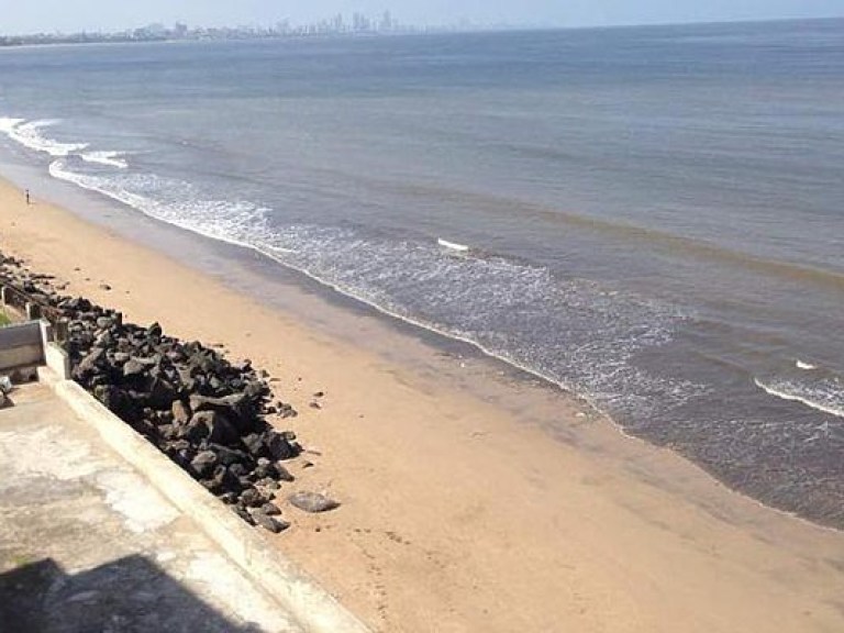 В Индии провели самую масштабную за всю историю чистку пляжа (ФОТО)