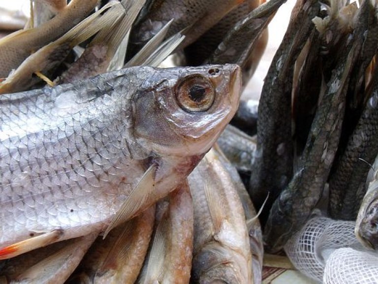 В Киеве зарегистрирован еще один случай заболевания ботулизмом из-за употребления вяленой рыбы