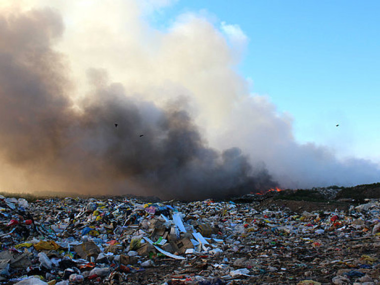 В Харьковской области горела свалка
