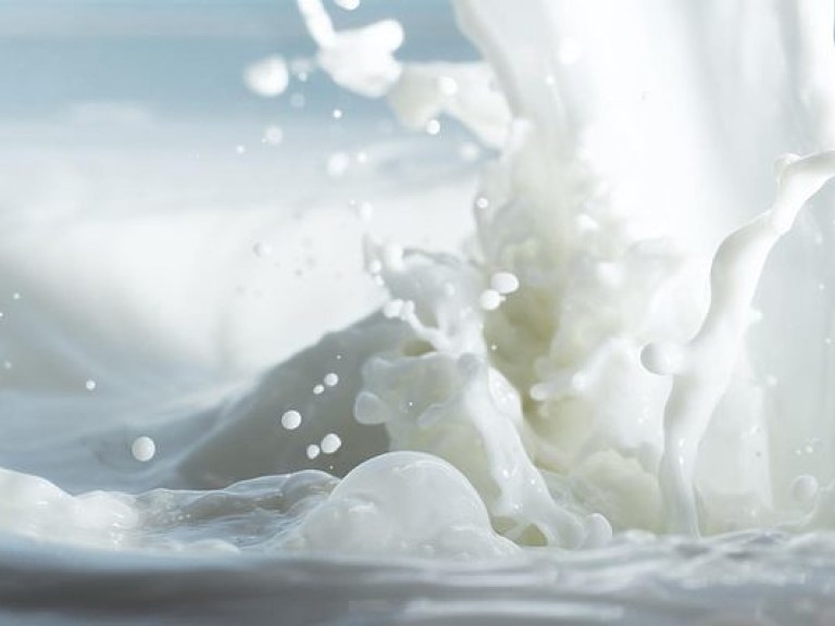 В Украине могут запретить молоко частных домохозяйств