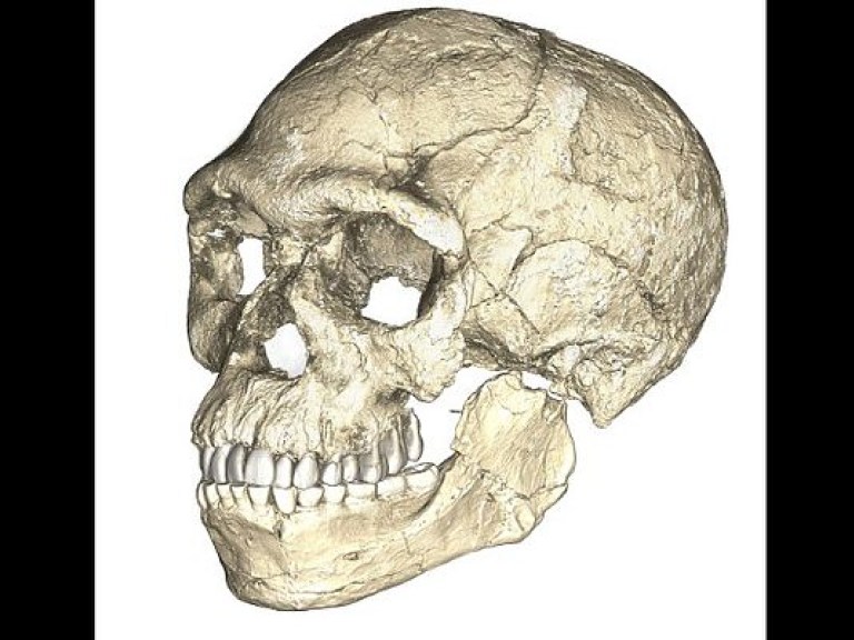 В Марокко обнаружили старейшие останки Homo sapiens (ФОТО, ВИДЕО)
