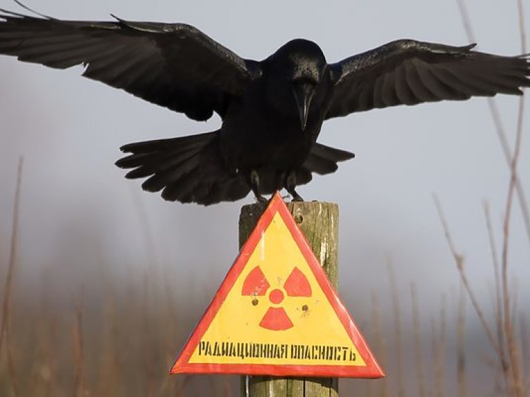 Ядерные отходы Украина сможет захоронить возле ЧАЭС, если хватит бюджета – Атомпрофсоюз