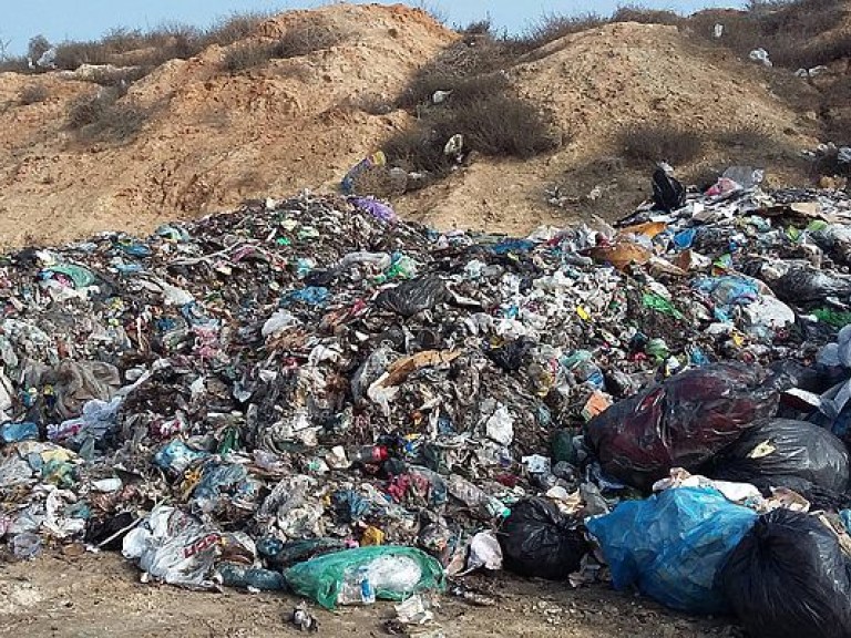 Чрезвычайное экологическое положение во Львове не решит проблему транспортировки мусора – эколог