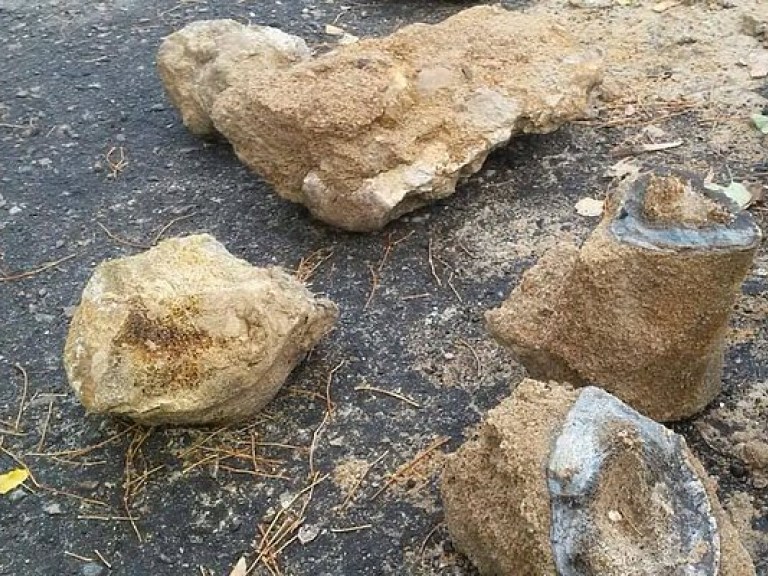 В Одесской области нашли останки мамонта или мастодонта