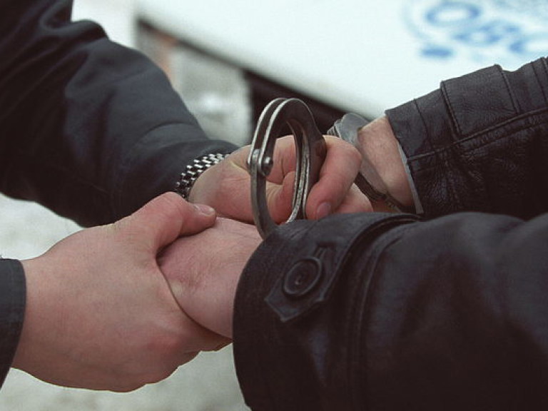 Фигуранта &#171;газового дела&#187; экс-нардепа Онищенко Постного взяли под стражу на 2 месяца