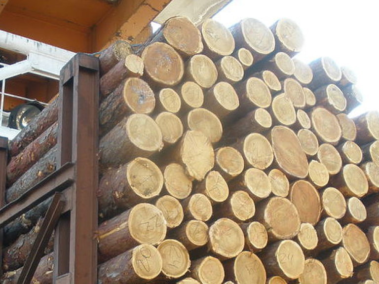 В Украине исчезает деревообрабатывающий бизнес – эксперт