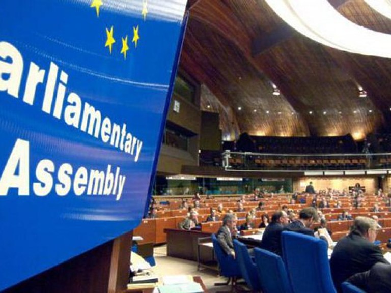 Совет Европы обеспокоен жестоким обращением Нацполиции с гражданами в Украине