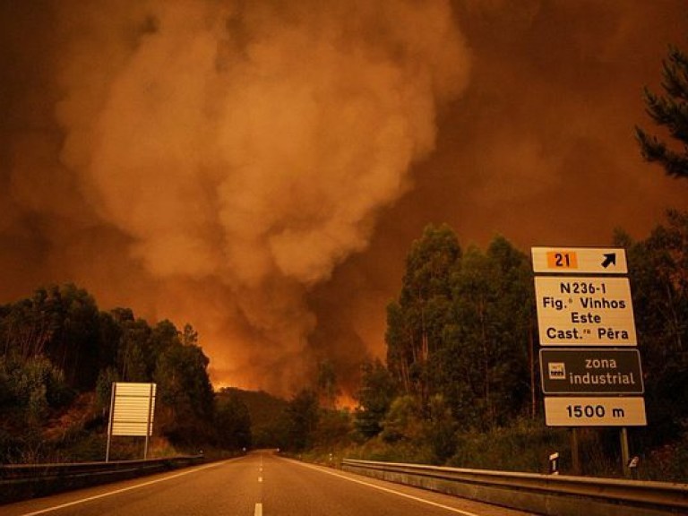 Лесные пожары в Португалии: 12 человек выжили, прячась в цистерне с водой