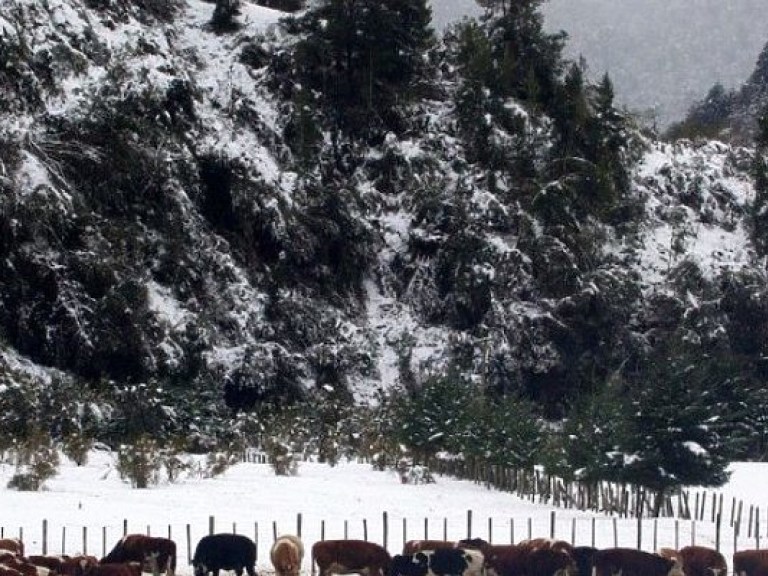 В Чили в результате  дождей и снежных бурь около 3 тысяч человек остались без крыши над головой