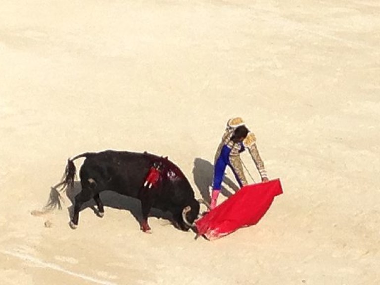 Во Франции впервые за сто лет бык смертельно ранил матадора
