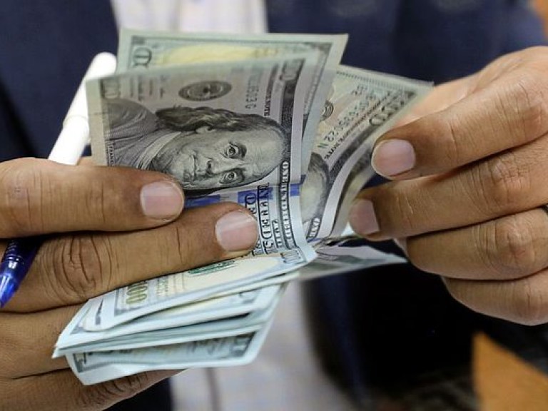 Курс 31 гривна за доллар к 2020 году предполагает дальнейшее «затягивание поясов» – экономист