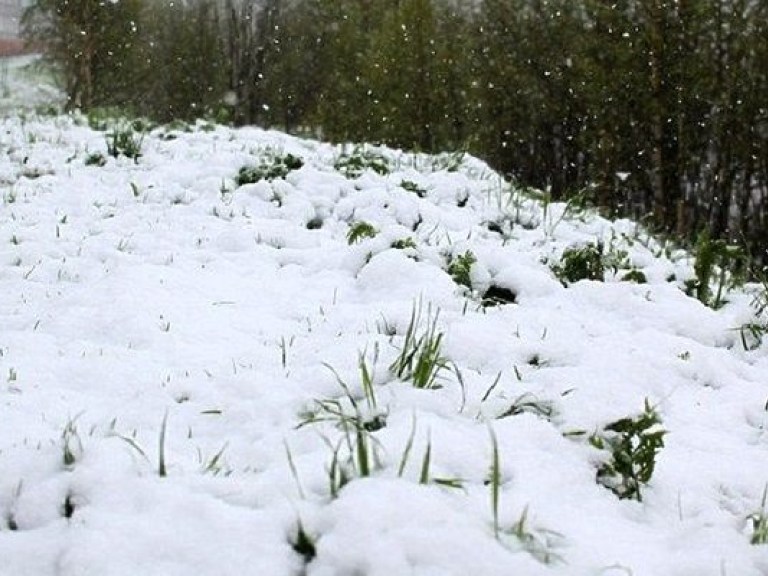 Несколько регионов России засыпало снегом посреди июня (ФОТО, ВИДЕО)