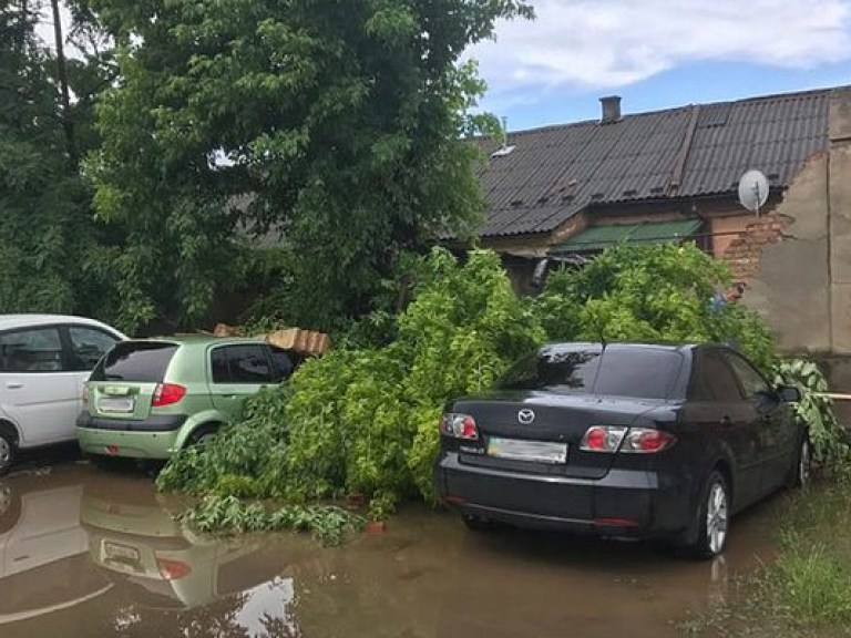 Мукачево затопило вследствие проливных дождей (ФОТО, ВИДЕО)