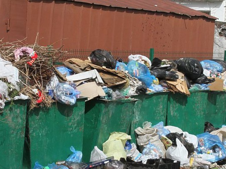 Из Львова уже вывезено 270 тонн мусора &#8212; горсовет