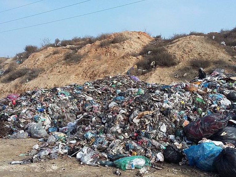 Во Львове очистили 42% площадок для твердых бытовых отходов