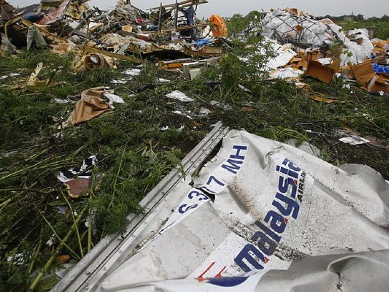 В Нидерландах созовут трибунал по катастрофе MH17