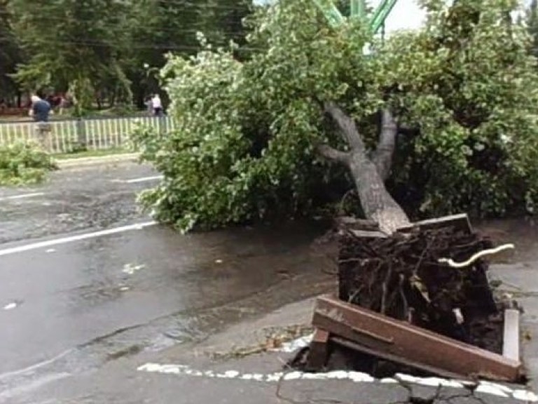 В Украине 21 человек пострадал в результате ураганов &#8212; ГСЧС