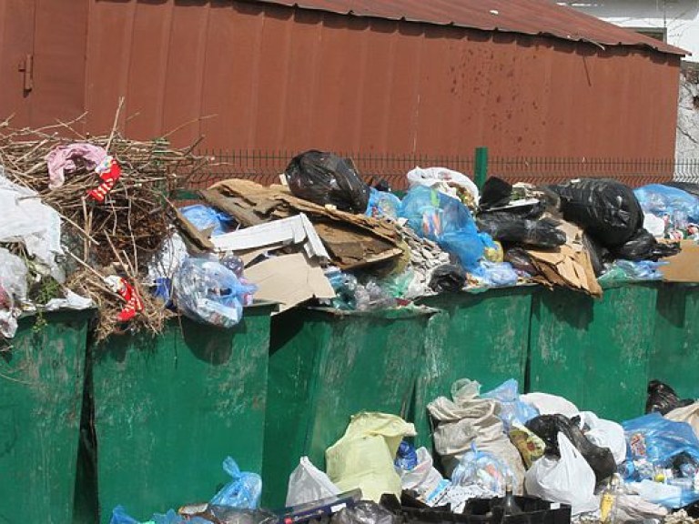 К июлю Львов очистили от мусора на 70% &#8212; ОГА