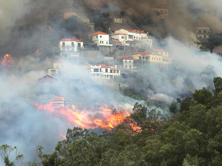В Португалии третью неделю бушуют лесные пожары