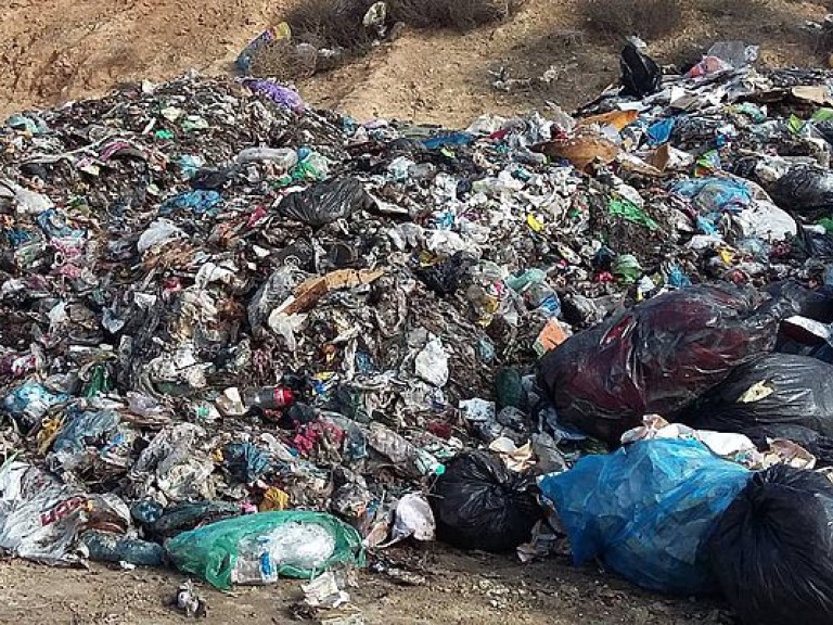 Львовские власти признали, что не успевают очистить город от мусора