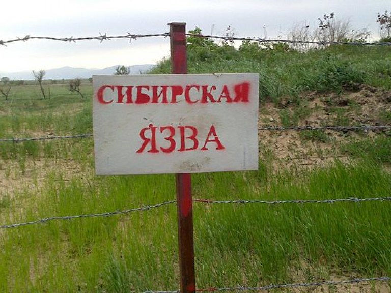 В Сумской области нашли стихийное захоронение овец с сибирской язвой