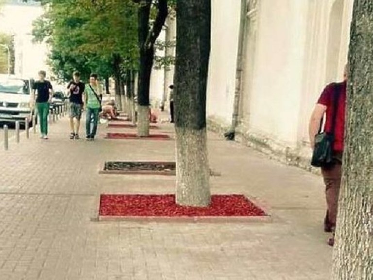 В Киеве под деревьями появились цветные лунки (ФОТО)