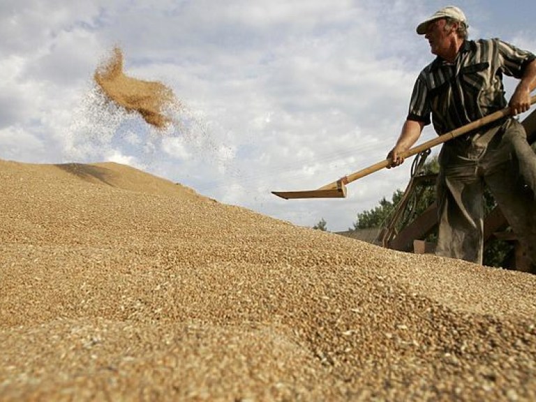 В Украине  уже намолотили более двух миллионов тонн зерна