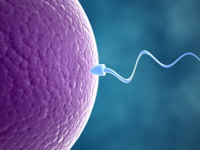 Ученые определили наилучший мужской возраст для зачатия ребенка