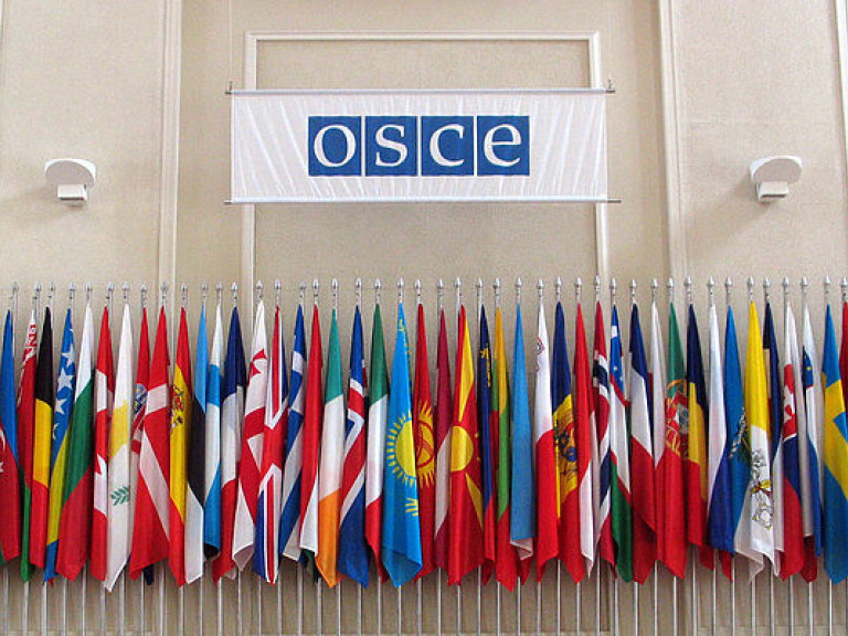 Парламентская ассамблея ОБСЕ приняла резолюцию по Донбассу