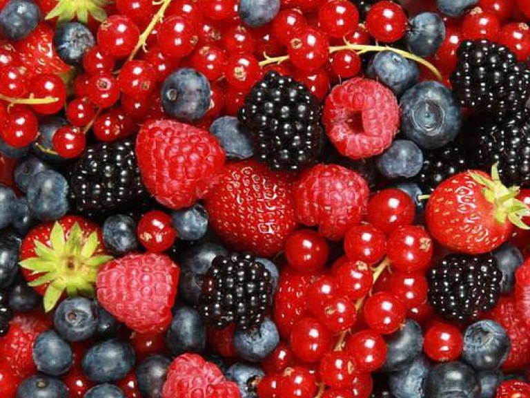 О.Скиталинская: «Обязательным компонентом летнего меню должны быть ягоды разных цветов»