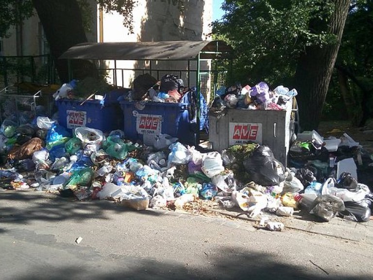 Во Львове остается свыше 5 тысяч тонн мусора – горсовет