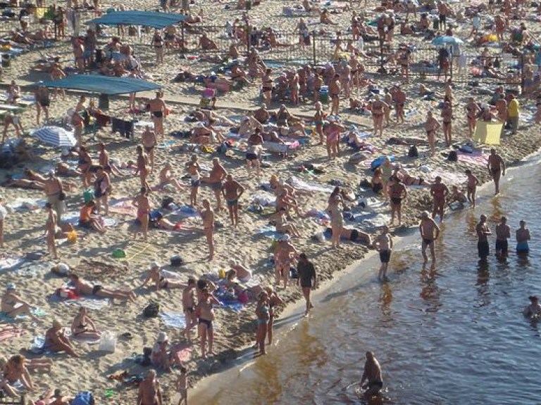 Столичные пляжи на Днепре не будут закрыты из-за цветения водорослей – «Плесо»