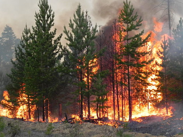 За сутки в Украине произошло 279 пожаров