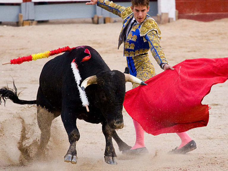 На уличном фестивале в Испании быки травмировали шестерых человек