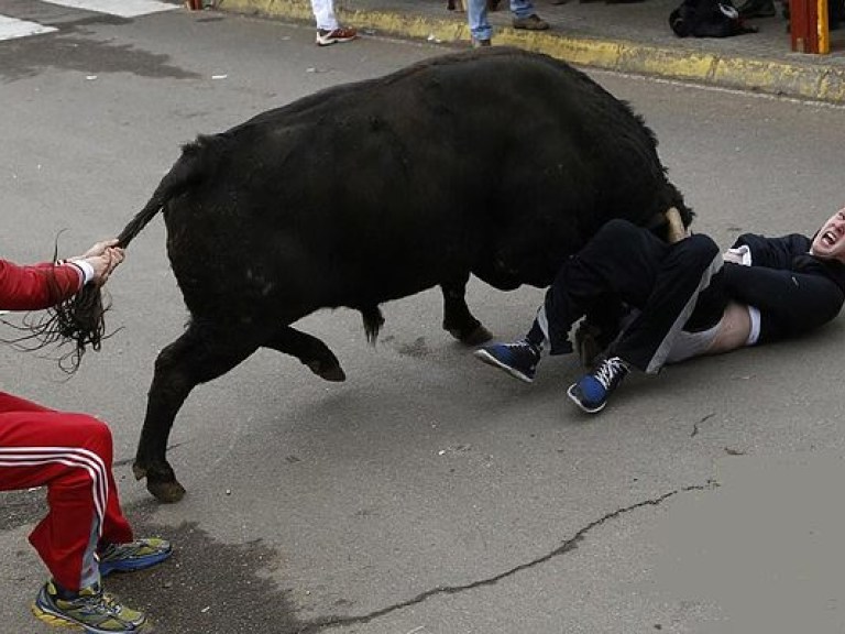 На фестивале в Испании быки затоптали шестерых человек (ВИДЕО)