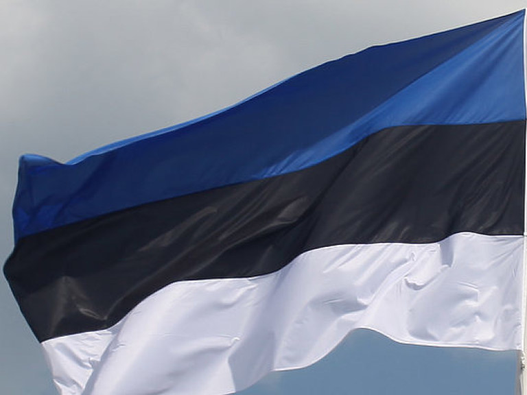 В Эстонии одобрили проект договоров о гражданстве