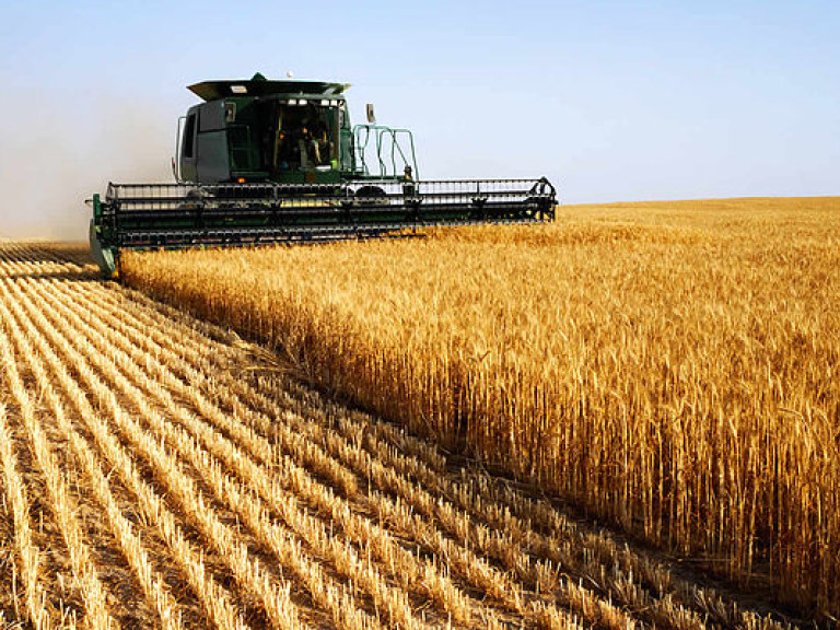 В Украине собрали 6,5 миллиона тонн зерновых &#8212; Минагропром