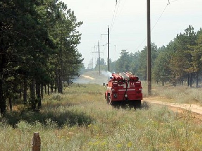 Лесной пожар под Новой Каховкой: после привлечения военных возгорание ликвидировали (ФОТО)
