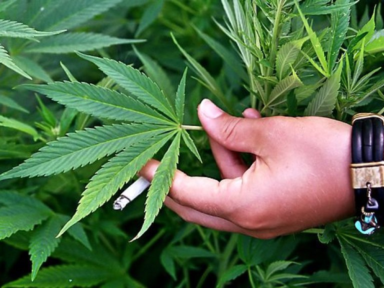 Уругвай полностью легализировал марихуану