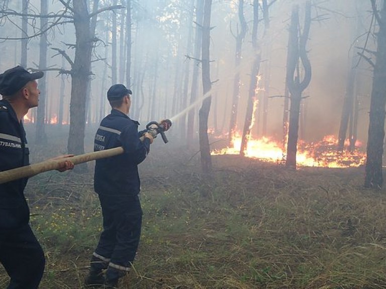 В Херсонской области лесной пожар тушат с помощью авиации