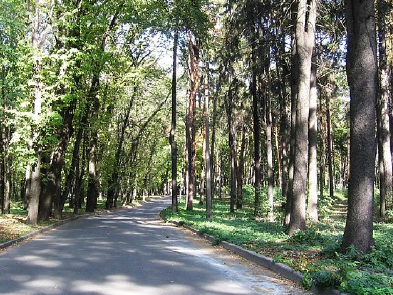 В Киеве пообещали  создать новый парк