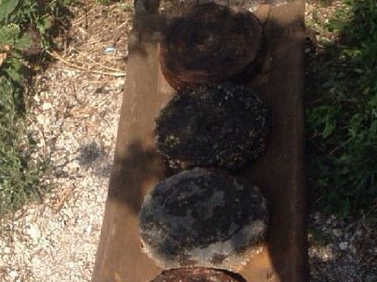 На берегу Южного Буга обнаружили противотанковые мины (ФОТО)