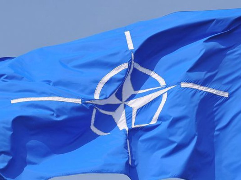 Европейский эксперт: заявления Порошенко о скором членстве Украины в НАТО – беспочвенные иллюзии