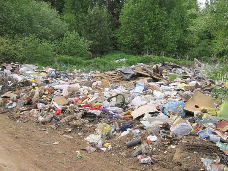 В Украине хотят ввести огромные штрафы за мусор на улицах